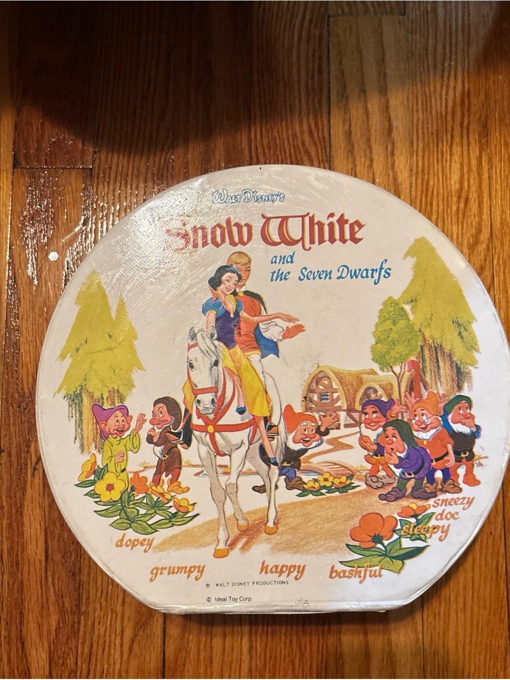 Vintage Disney Snow White and the Seven Dwarfs Train Carry Case